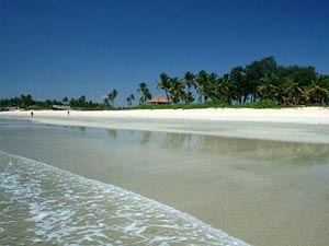 Goa's greenery a problem, says Parrikar