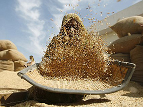 woman-foodgrain-village