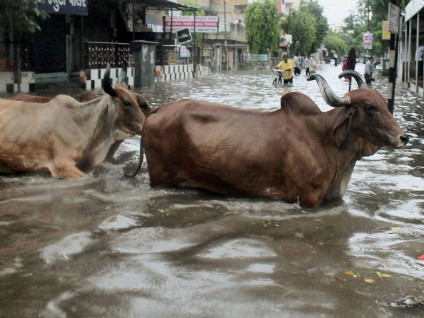 In Gujarat