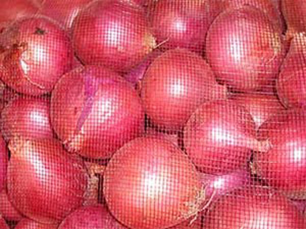 Pricey onions leave buyers teary-eyed
