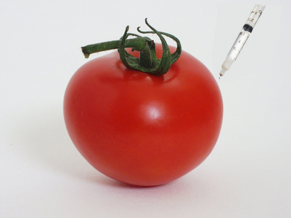 Farmers and consumers say no to GM food