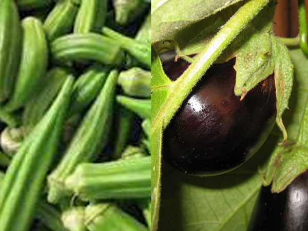 TN:Lady's finger, brinjal prices decline