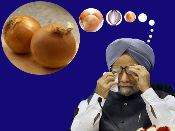 onion onion