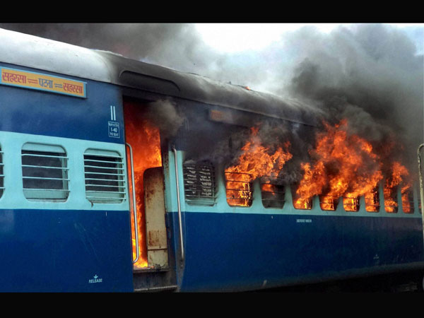 Train tragedy: Dogs feast on body parts