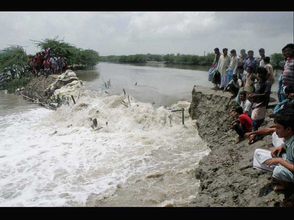 Bihar: Ganga floods destroy banana crops