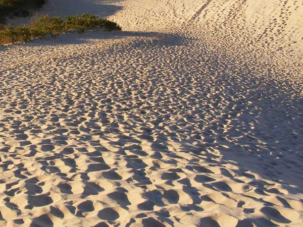 Sand mining: NGT seeks Centre's response