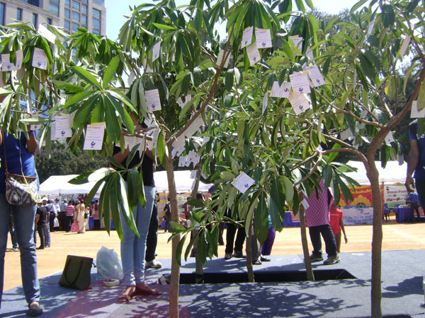 Planting trees