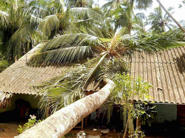 Cyclone Phailin: Congress hails efforts