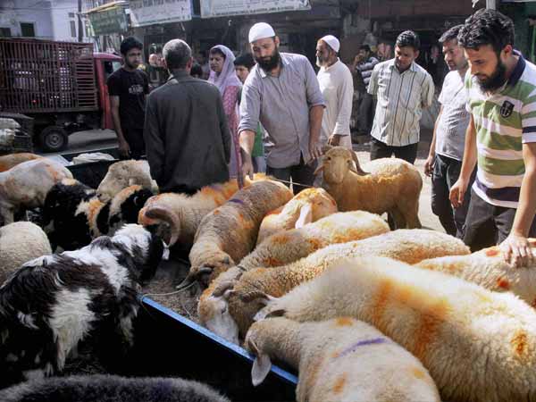 Eid-ul-Azha celebrated in Andhra Eid-ul-Azha celebrated in Andhra