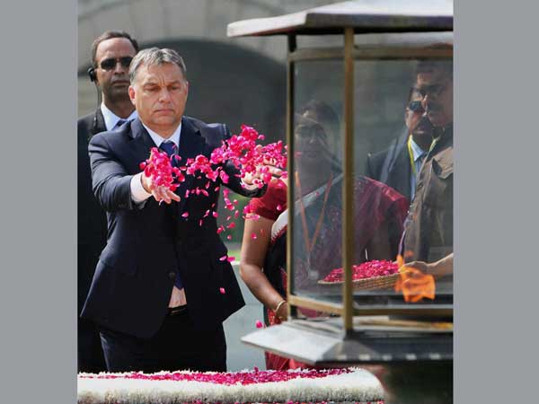 In New Delhi