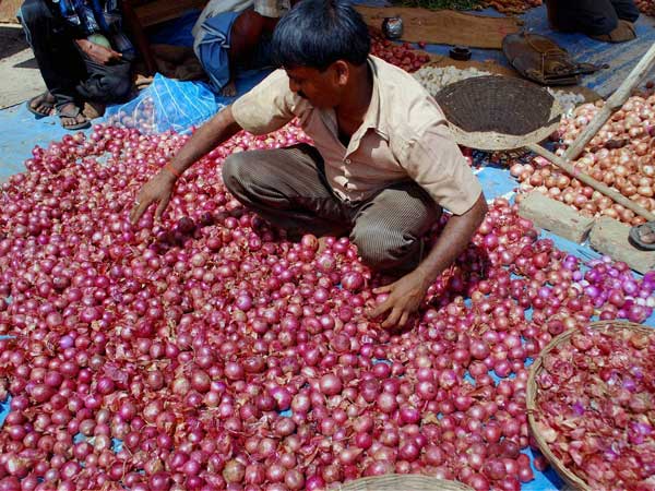 Govt's onion import plans on hold Govt's onion import plans on hold
