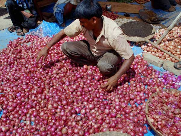 Govt's onion import plans on hold