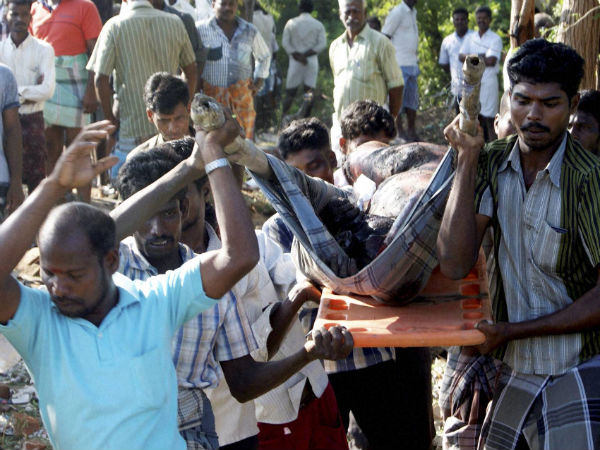 fire-at-cracker-factorr