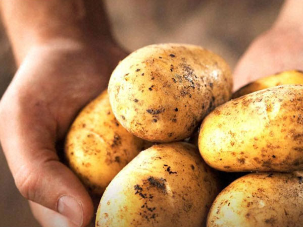 (Pics) Onions?....naaaah, its time for potatoes to act 'pricey'