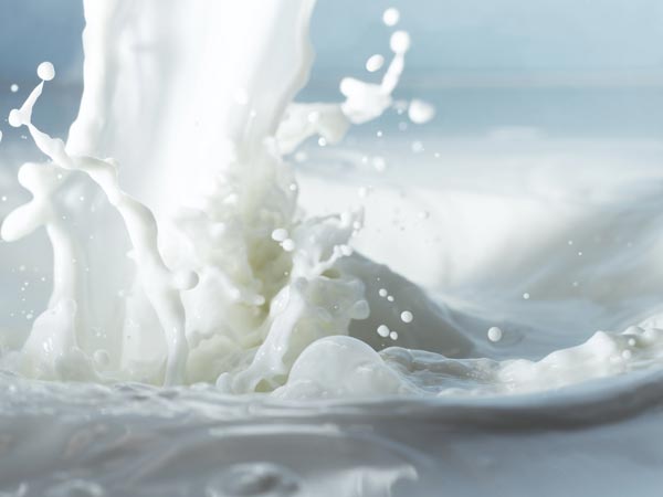 TN: Milk production hit by disease