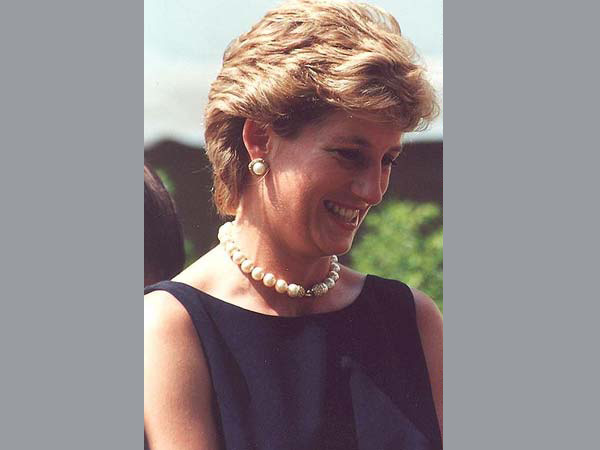 British police reject Diana murder claim British police reject Diana murder claim