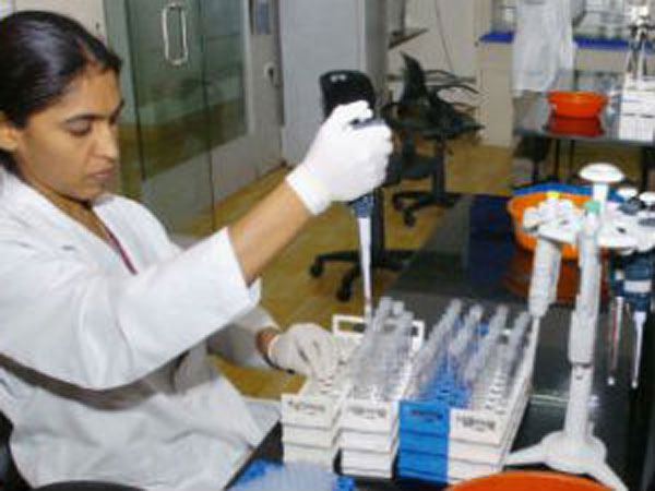 Indian finds antidote for deadly malaria Indian finds antidote for deadly malaria