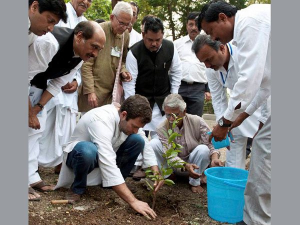 Planting a sapling