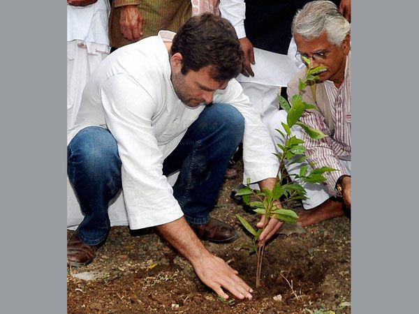 Planting hope?