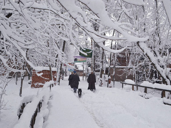 Cold wave intensifies in Srinagar