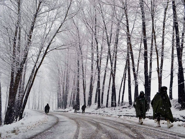 Fresh snowfall in Srinagar