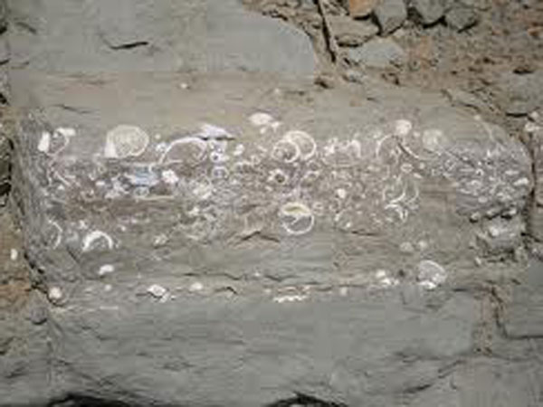 Ancient baby care centre found in sea!