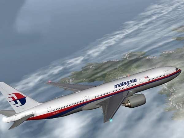 Malaysian plane: Impossible to control plane from outside, says expert