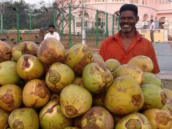 Chellappan, Coconut vendor - 48 years