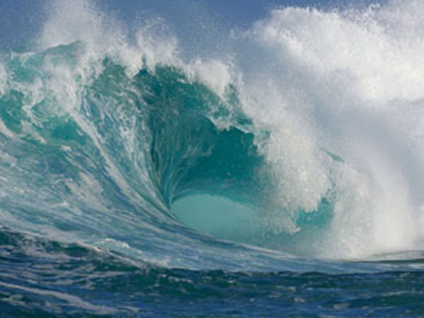 World Oceans Day World Oceans Day