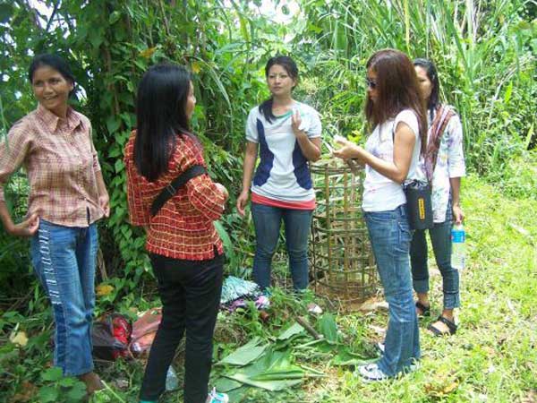 Green Mizoram Day observed