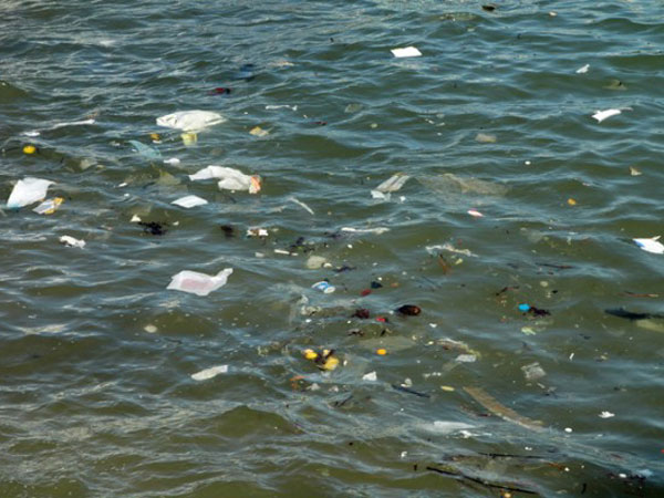Trash concentration in ocean dangerous