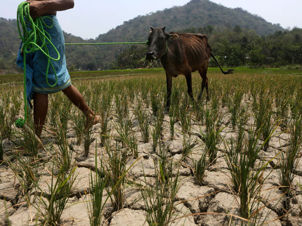 EL Nino a challenge in front of Modi