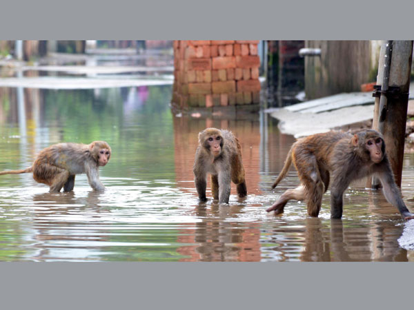 Photographs from India (June 28)