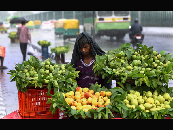 El Nino could hit Indian agriculture this monsoon El Nino could hit Indian agriculture this monsoon