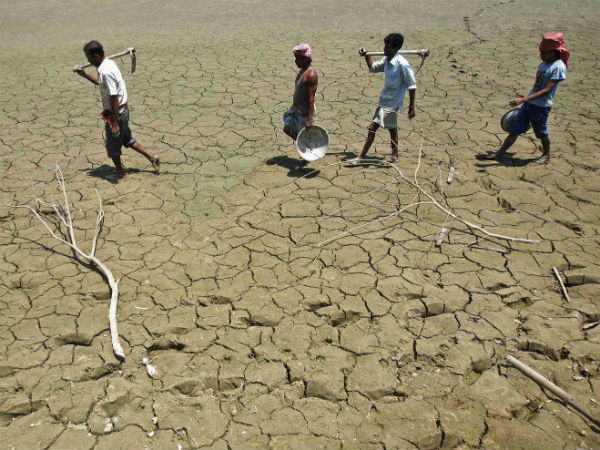 Drought like situation has created problem of livelihood among State farmers.