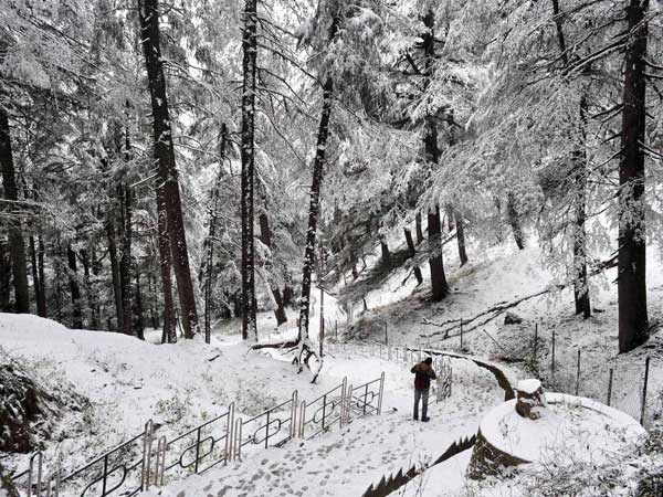 Himachal's Saach Pass reopens for motorists
