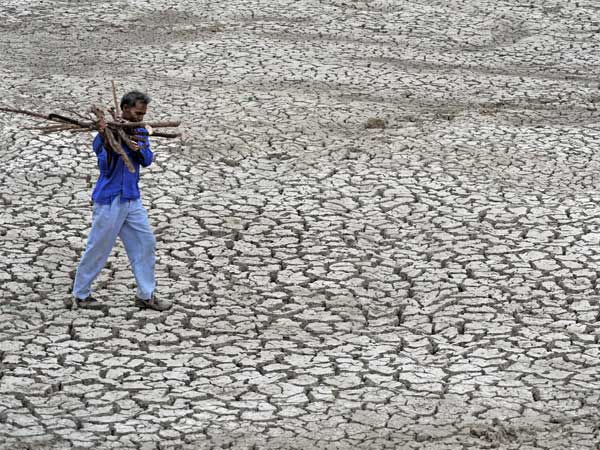 A man carries fire-wood as he walks on a parched field