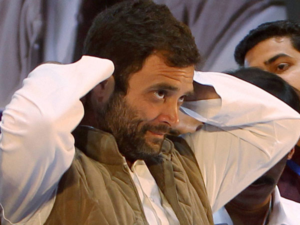 Cong: No rebellion against Rahul Gandhi