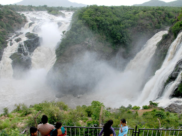 Gaganachukki waterfall regains its glory during rainy season