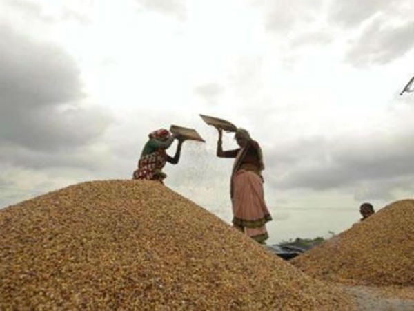 A United Nations body too has supported India's tough stand at the World Trade Organisation on the food security issue.