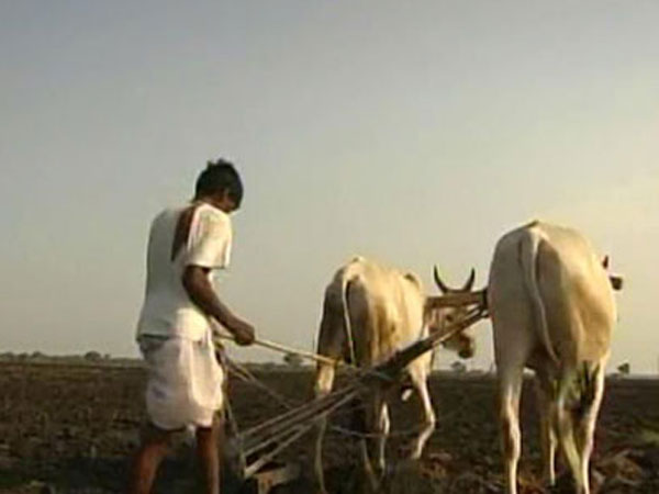 Vidarbha region farmers protest over long pending demands