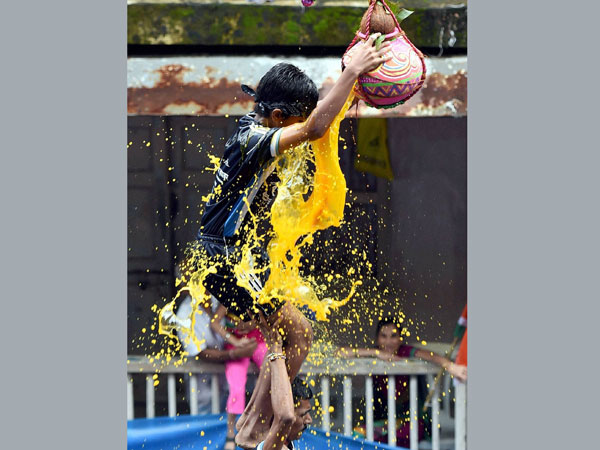 A Govinda mandal breaking the