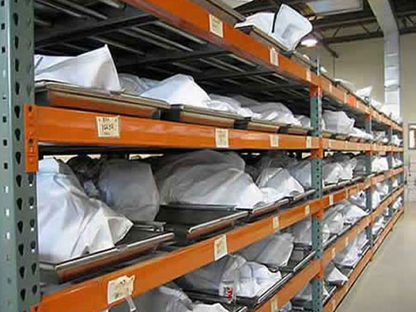 Dead Bodies Dead Bodies