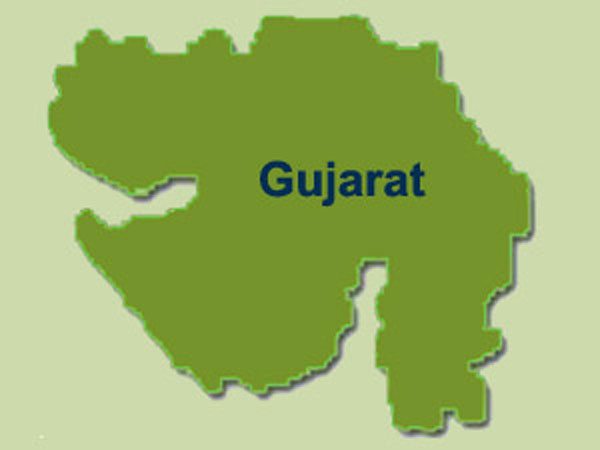 gujarat, gandhinagar, coral, garden