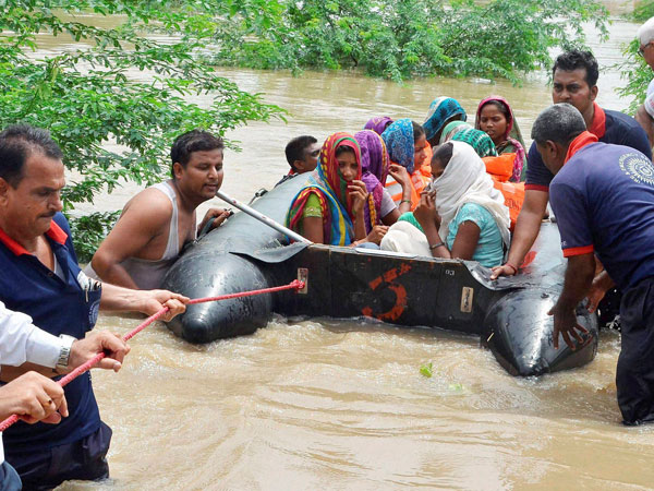Vadodara: Flood water brings in Crocs 