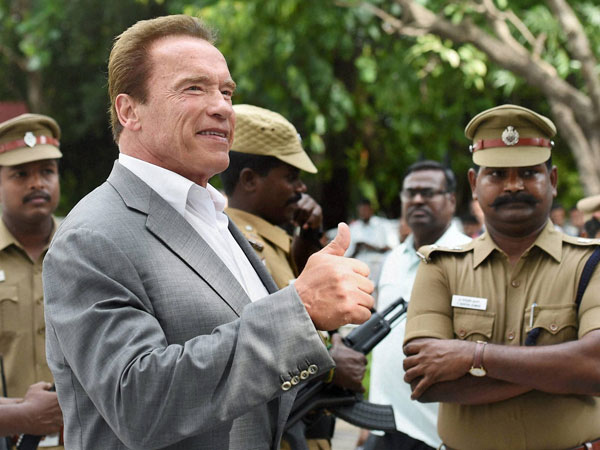 arnold arnold