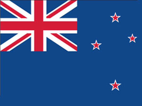 5.5 magnitude earthquake shakes NZ