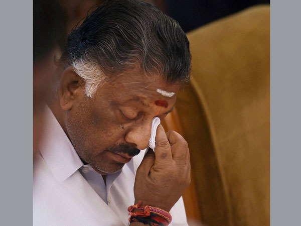 New TN CM sworn in, breaks down for Amma