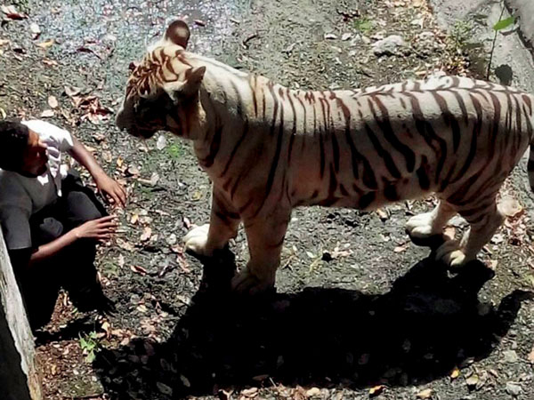 India's zoos: Need for reform