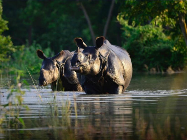 Assam floods: Water level recedes, leaves vast trail of destruction